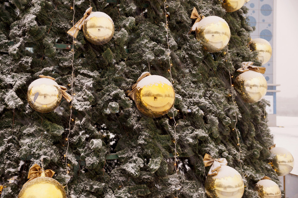 Новорічні сфери на гілках ялинки
 - Фото, зображення