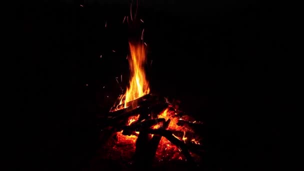 ognisko w nocy - Materiał filmowy, wideo