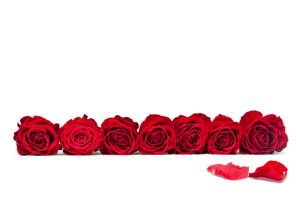 Красиві троянди зйомки зблизька
 - Фото, зображення