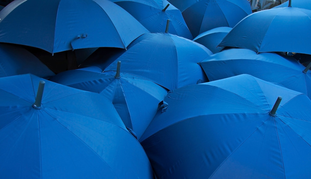 Paraguas azules
 - Foto, Imagen
