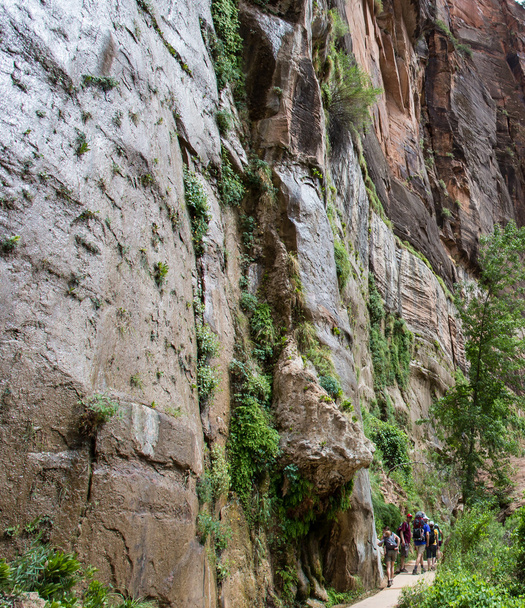 Cliffs Zion national Park - Fotoğraf, Görsel