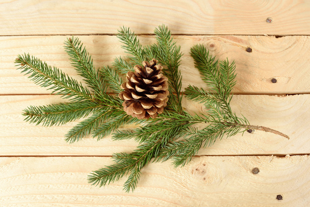 Pine cone on fir branch a wooden - Фото, зображення