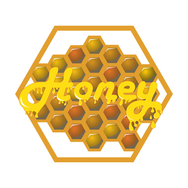 Honeycomb with drops of honey and an inscription - Vector, Image