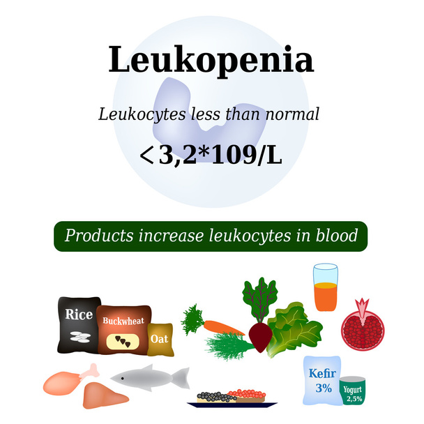 Leucopenia. Reducción del número de leucocitos en la sangre. Los productos aumentan los glóbulos blancos. Ilustración vectorial
 - Vector, imagen