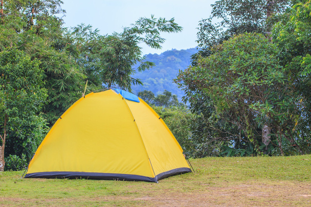 палатка на кемпинге утром
 - Фото, изображение