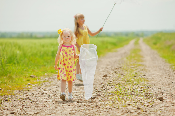 Girls with butterfly net having fun at field - Photo, Image