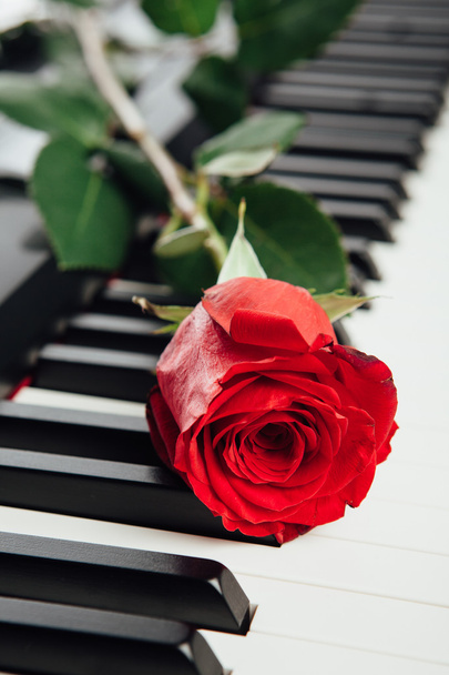 red rose on piano keys - Φωτογραφία, εικόνα
