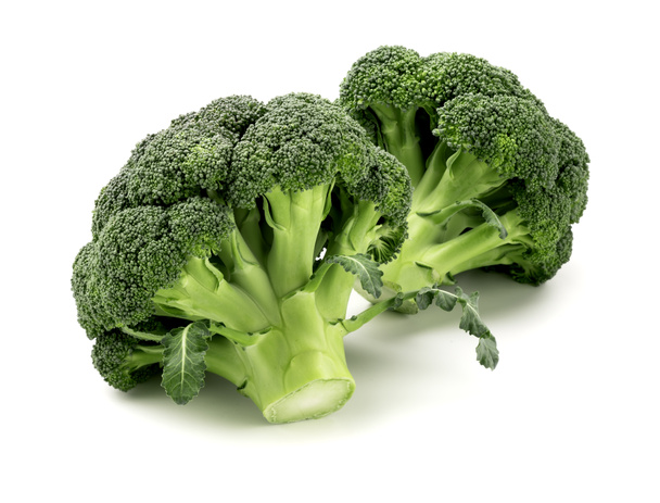 broccoli on white - 写真・画像