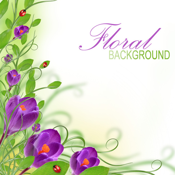Purple flower design - Фото, зображення