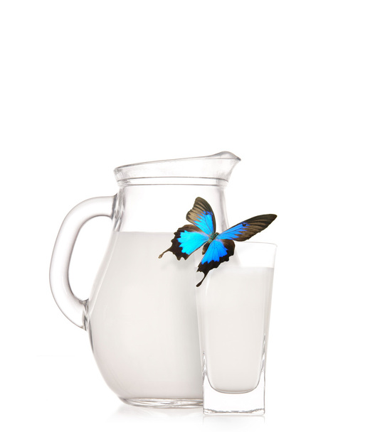 Milk jug and glass with exotic butterfly - Zdjęcie, obraz