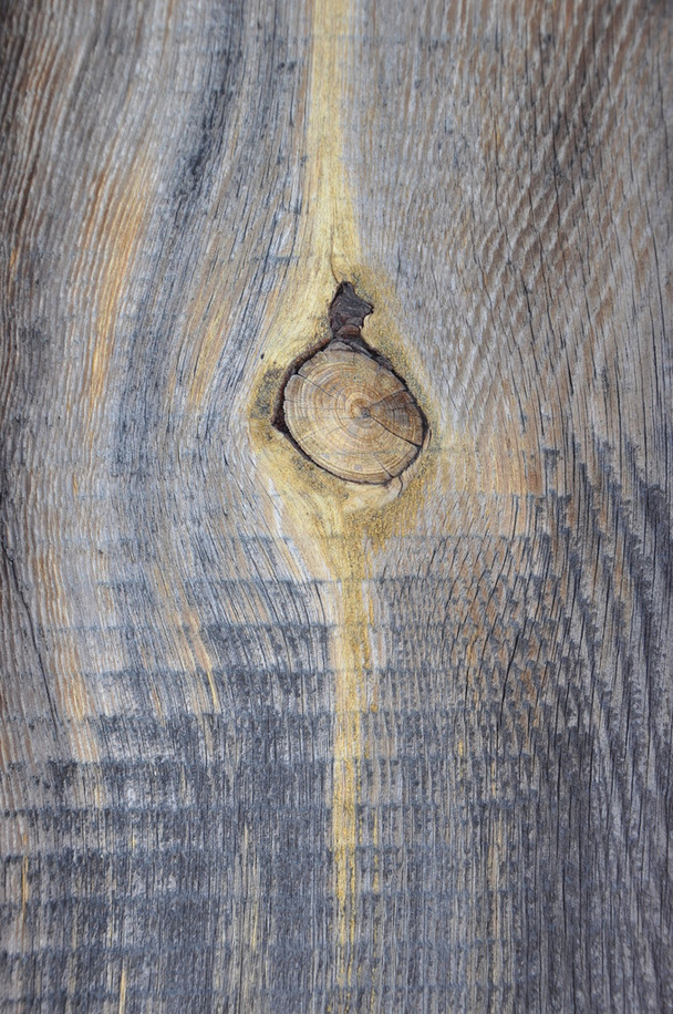 The texture of wooden boards. - Foto, Imagen