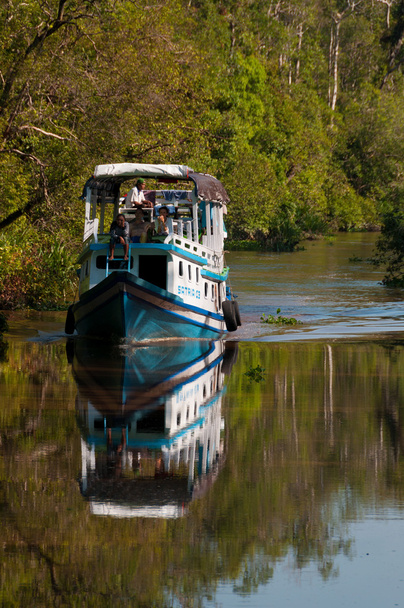 Barco dirigindo no rio na selva de Bornéu com reflexão
 - Foto, Imagem