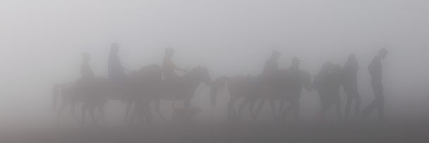 Sylwetki ludzi i koni w mgła i mgła - Zdjęcie, obraz