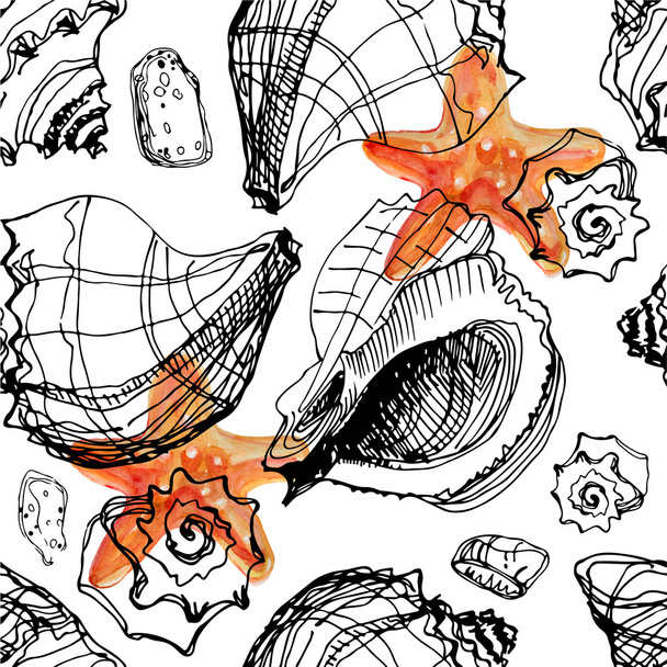 Watercolor sea shells and sea stars - 写真・画像