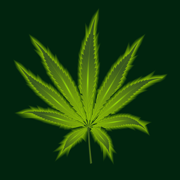 Cannabis leaf on a green background - Vector, Image
