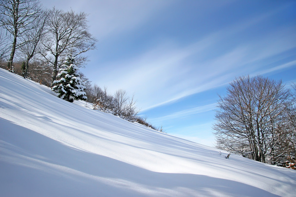 téli hó fedett hill az erdőben - Fotó, kép