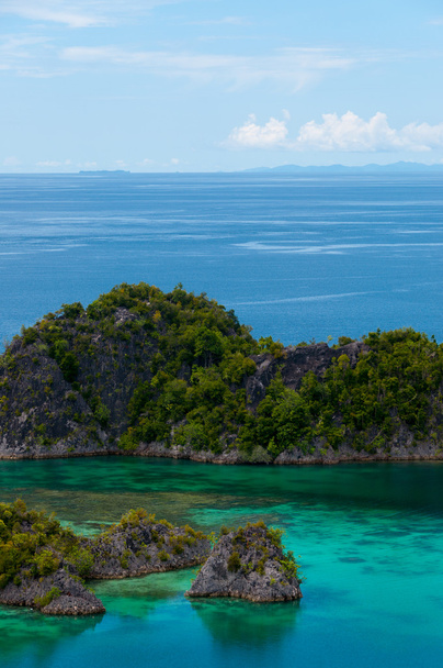 Groene eilandjes die behoren tot de Fam eiland in de zee van Raja Ampat, Papoea-Nieuw-Guinea - Foto, afbeelding