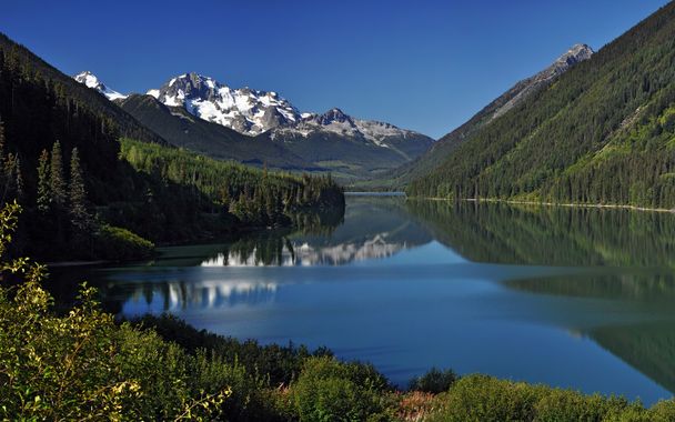 Clear lake, pine trees and mountains - Photo, Image