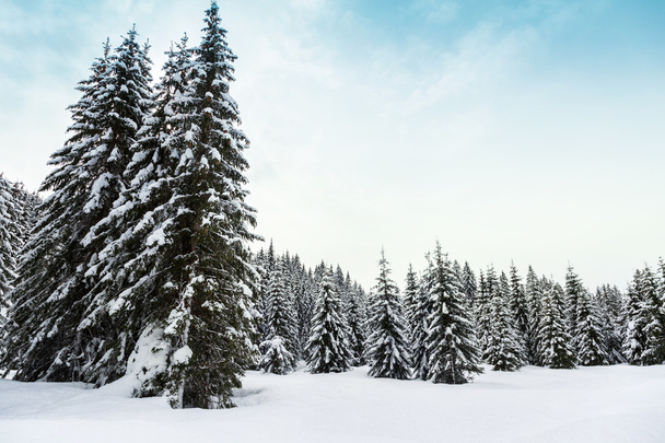 Зимний пейзаж в горах Джулианских Альп
 - Фото, изображение