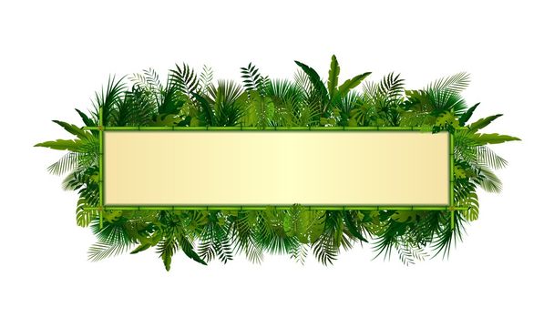 Тропические растения фон. прямоугольная цветочная рамка с пространством для текста в концепции бамбука
 - Вектор,изображение
