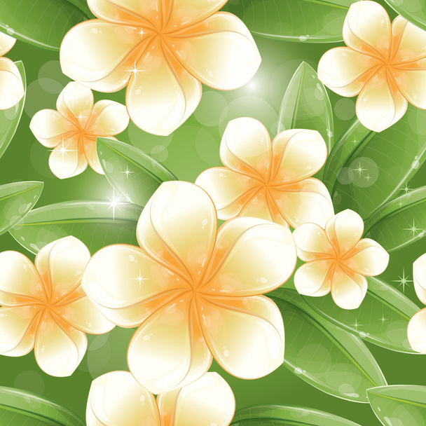 nahtloses Muster - weiße Frangipani-Blüten - Vektor, Bild