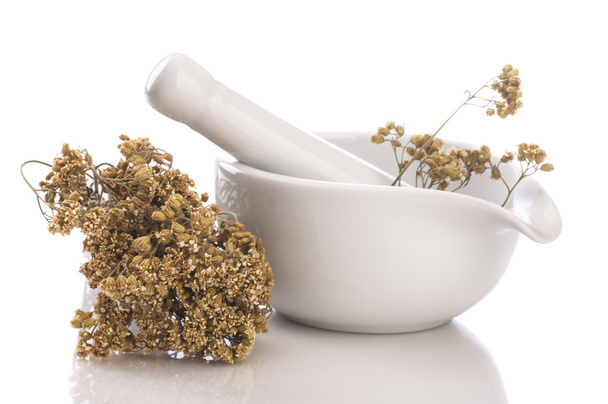 dry Achillea herb in white pounder - Photo, image