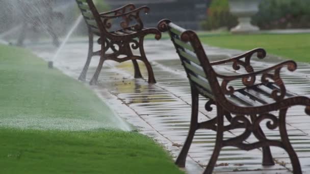 Aspersor de agua rocía agua en el parque
 - Metraje, vídeo