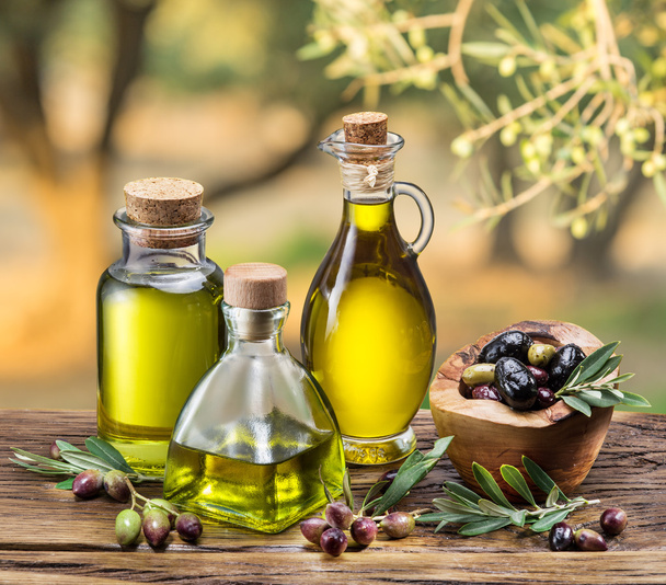 Olive oil and berries are on the wooden table under the olive tr - Фото, изображение