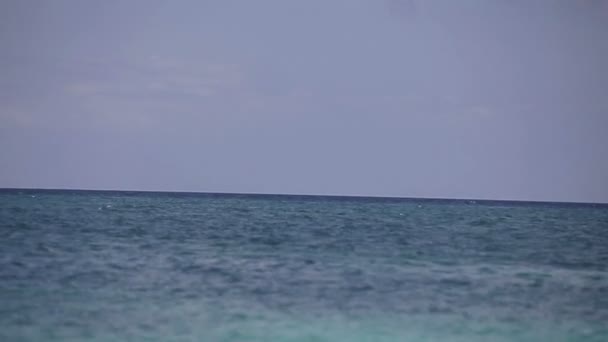 Pareja feliz en la playa con coco
 - Metraje, vídeo
