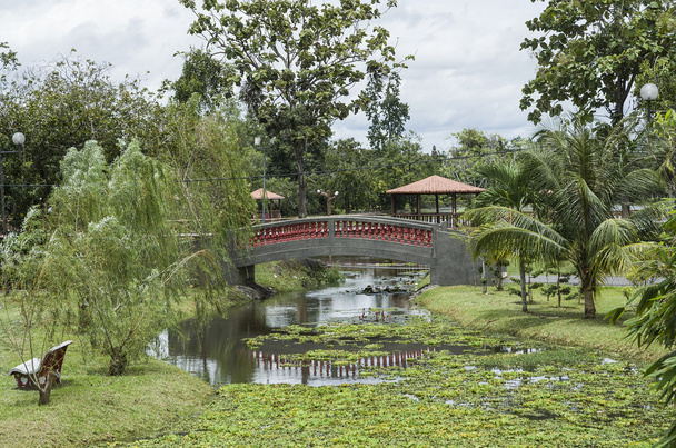 Taman Tasik Melati Rekreasi, Perlis, Malaysia - Zdjęcie, obraz