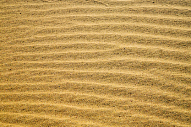 az Afrika-homok dűne    - Fotó, kép