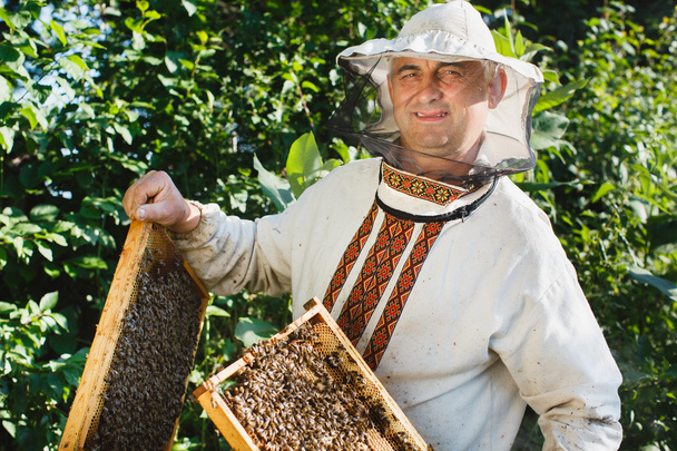 Pszczelarzy trzyma dwie ramki o strukturze plastra miodu - Zdjęcie, obraz