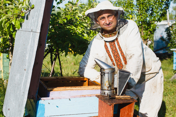 Μελισσοκόμος κάνει επιθεώρησης από την κυψέλη - Φωτογραφία, εικόνα