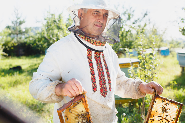 Pszczelarzy trzyma dwie ramki o strukturze plastra miodu - Zdjęcie, obraz