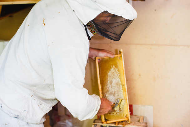 Méhész speciális berendezéssel - Fotó, kép