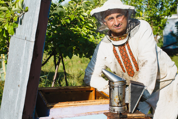養蜂家は彼の蜂の巣の検査 - 写真・画像