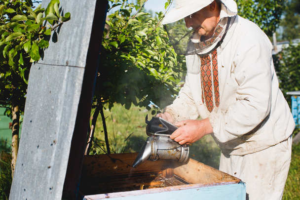 Apiarist making inspection in apiary - Photo, Image