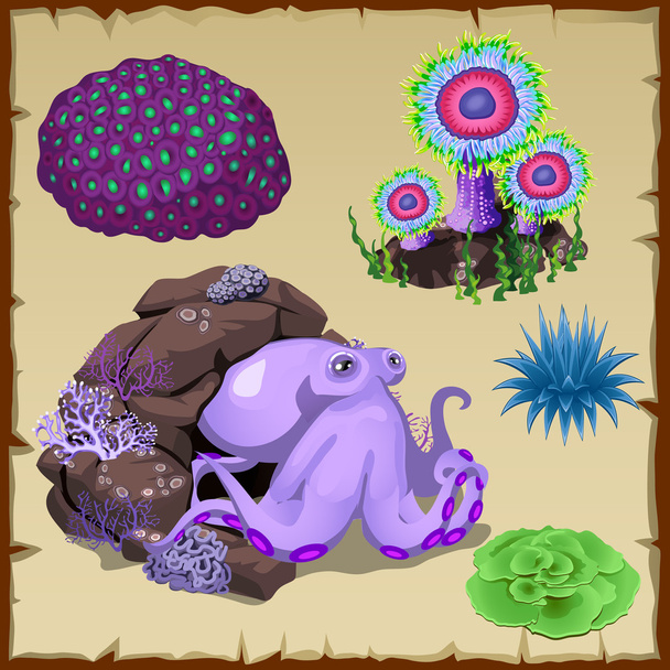 Set of purple octopus and underwater vegetation - Vector, Image