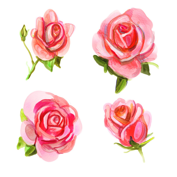 Pink rose. Watercolor paintings - Фото, зображення