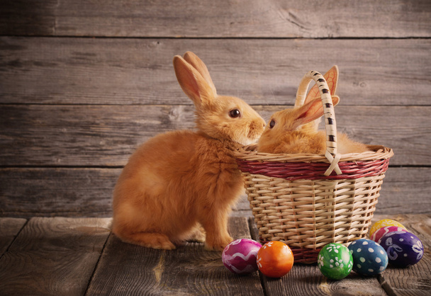 rabbits with Easter eggs on wooden background - Foto, Bild