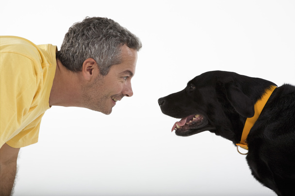 ラブラドール犬と遊ぶ男 - 写真・画像