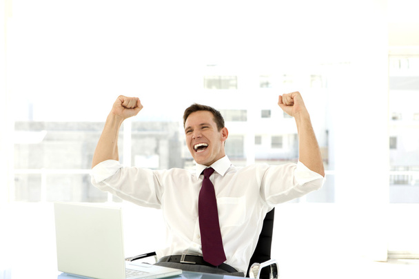 Successful businessman raising arms - Fotografie, Obrázek