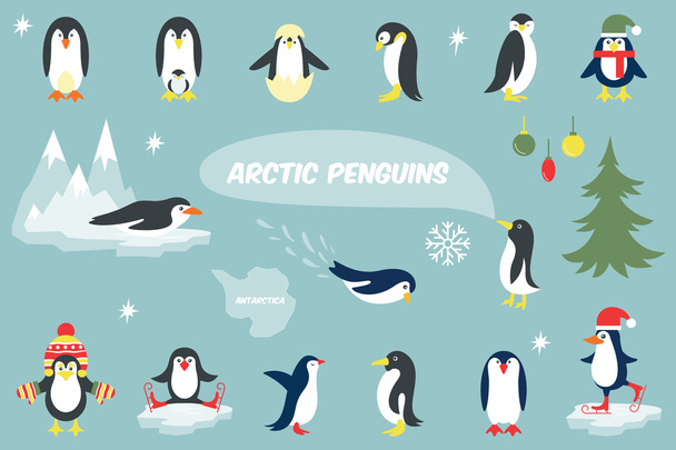 Různé Penguins kreslené vektorové ilustrace - Vektor, obrázek