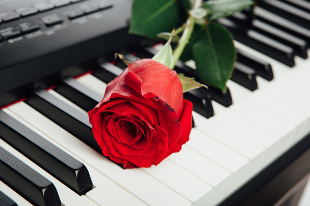 piano keys and red rose - Фото, изображение