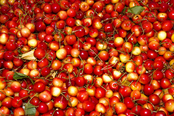 Fresh sweet cherries on display - Foto, afbeelding