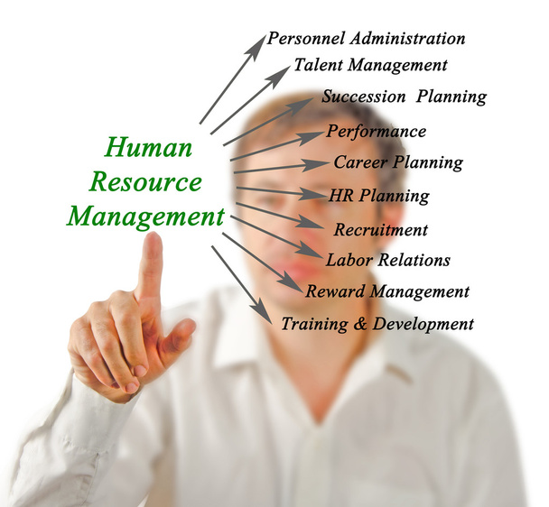 Диаграмма управления человеческими ресурсами
 - Фото, изображение