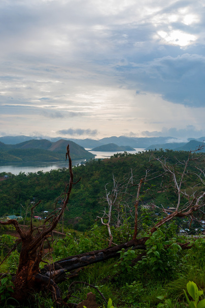 Árbol muerto en la cima de una colina vista sobre el océano y la isla
 - Foto, Imagen