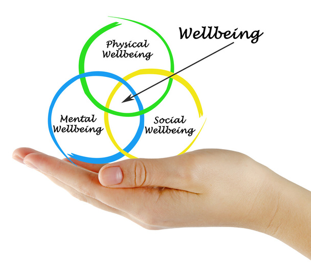 Presentation of Diagram of wellbeing - Photo, Image