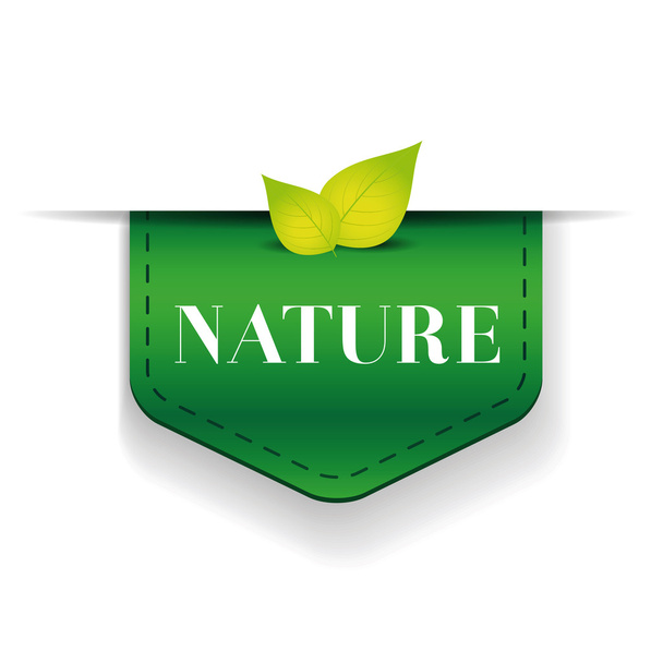 Nature green ribbon vector - Вектор,изображение