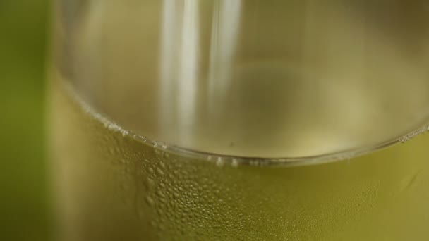 Champagne Bubbles In a glass - Materiał filmowy, wideo